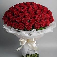 Букет 101 Красная роза Блэк Мэджик в Ногинск-9