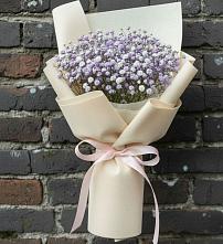 Букет цветов из:  Гипсофила в Ногинск-9