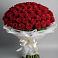 Букет 101 Красная роза Блэк Мэджик в Ногинск-9