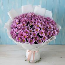 Букет цветов из:  Хризантемы в Ногинск-9