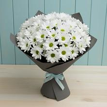 Букет цветов из:  Хризантемы #REPLACE_PRED# Ногинск-9