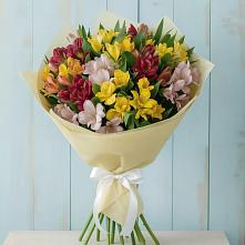 Букет цветов из:  Альстромерии #REPLACE_PRED# Ногинск-9