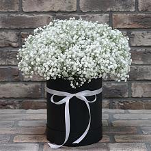 Цветочная композиция из Гипсофила в шляпной коробке в Ногинск-9