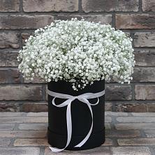 Цветочная композиция из Гипсофила в шляпной коробке в Ногинск-9