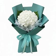 Букет цветов из:  Гортензия в Ногинск-9